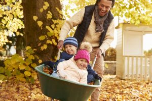 Father In Autumn Garden Gives Children Ride In Wheelbarrow